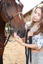 Horse Lover 08