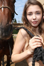 Horse Lover 10