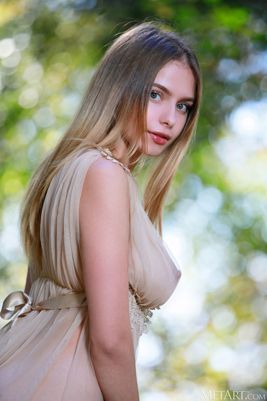 Sheer Gown 6