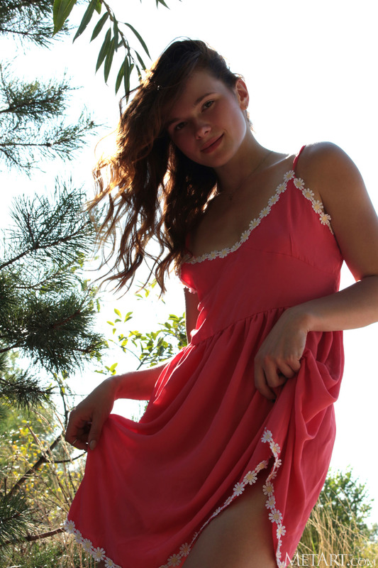Daydream 11