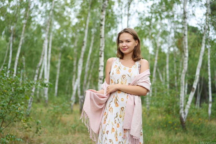 Birch Wood 1