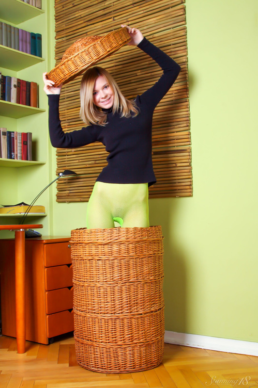Inside the Basket 1