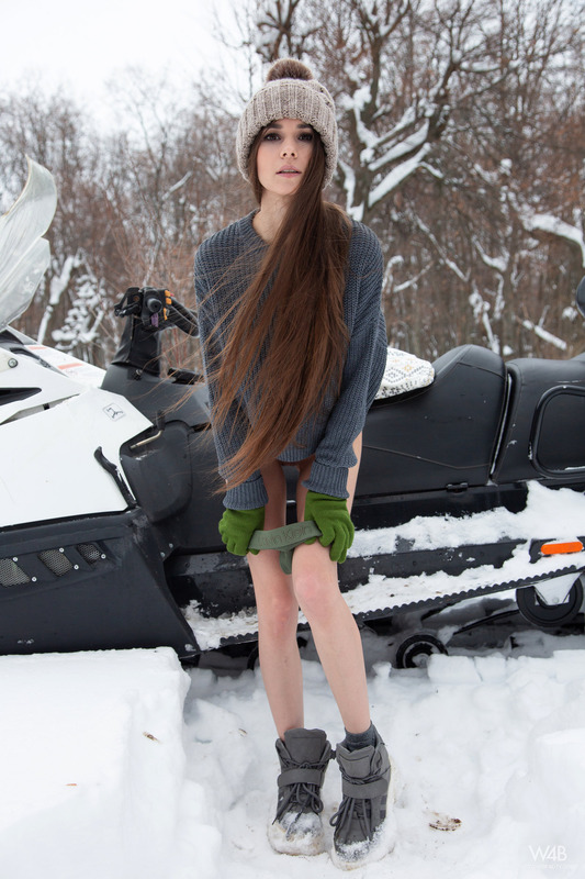 Snowmobile 13